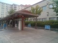 IMG_20250804_083941