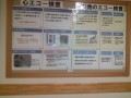 IMG_20250804_094629