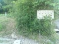 IMG_20250805_170516
