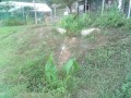 IMG_20250805_170542