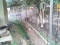IMG_20250805_170649