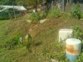IMG_20250806_084420