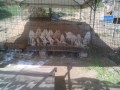 IMG_20250806_084451