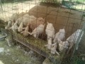 IMG_20250806_084458
