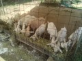 IMG_20250806_084501