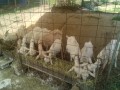 IMG_20250806_084505
