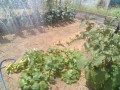 IMG_20250806_112102