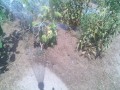 IMG_20250806_112105