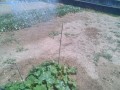 IMG_20250806_112109