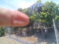 IMG_20250806_112604