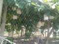 IMG_20250806_112642