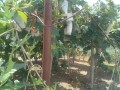 IMG_20250806_112659