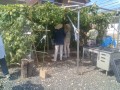 IMG_20250806_144147