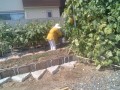 IMG_20250806_144217