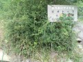 IMG_20250807_182835