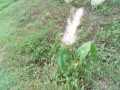 IMG_20250807_183618
