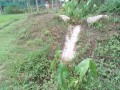IMG_20250807_183620