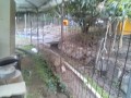 IMG_20250807_183802
