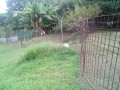 IMG_20250807_183832