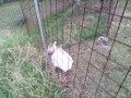 IMG_20250807_183844