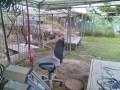 IMG_20250807_183908