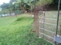 IMG_20250807_183934