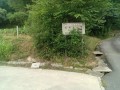 IMG_20250808_085619