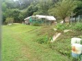 IMG_20250808_085729