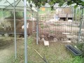 IMG_20250808_085828