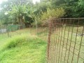 IMG_20250808_085934