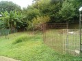 IMG_20250809_092254