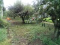 IMG_20250810_091428