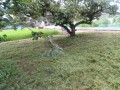 IMG_20250810_091429