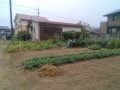 IMG_20250810_101022