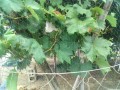 IMG_20250810_101024