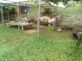 IMG_20250810_102222