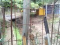 IMG_20250811_083519