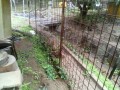IMG_20250811_083611