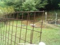 IMG_20250811_083629