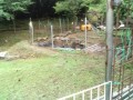 IMG_20250811_083632