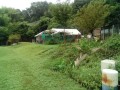 IMG_20250812_075405