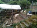 IMG_20250812_075434