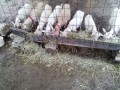 IMG_20250812_080123