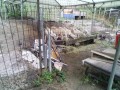 IMG_20250812_080213