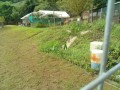IMG_20250813_093115