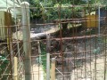 IMG_20250814_115745