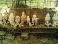 IMG_20250814_120807