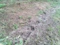 IMG_20250814_175552