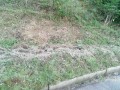 IMG_20250814_175612