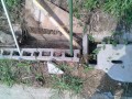 IMG_20250815_091640